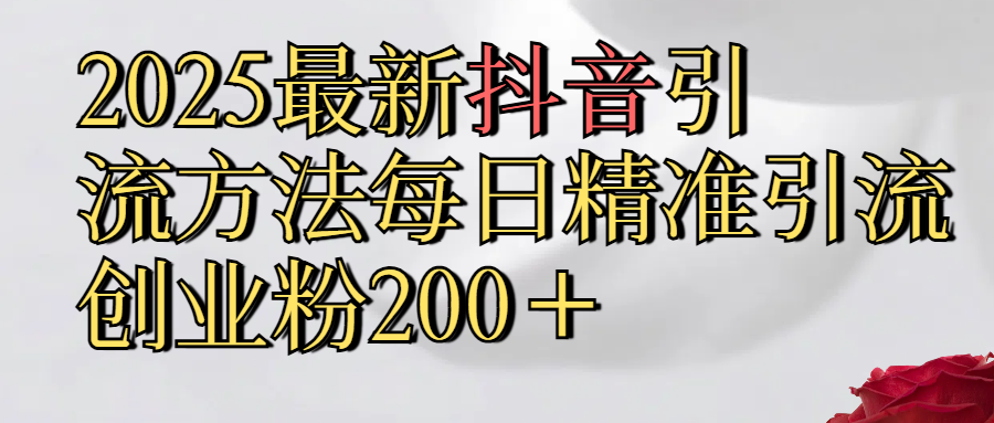 2025最新,抖音引流,方法每日精准引流创业粉300＋-小二项目网