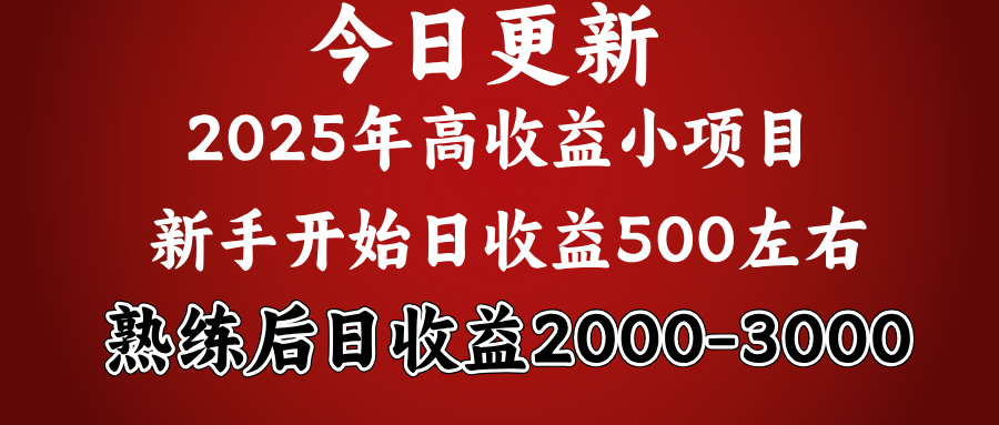 2025开年好项目，新手日收益500+ 熟练掌握后，日收益平均2000多-小二项目网