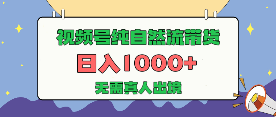 视频号纯自然流带货，日入1000+，无需真人出境，新手小白也可操作-小二项目网