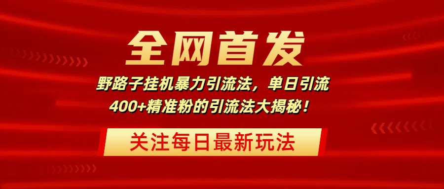 全网首发，野路子挂机暴力引流法，单日引流400+精准粉的引流法大揭秘！-小二项目网