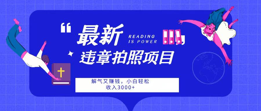 最新违章拍照项目,解气又赚钱,随手一拍,轻松收入3000-小二项目网