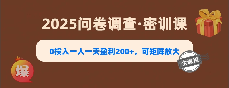 2025《问卷调查》0投入一人一天盈利200+，可矩阵放大-小二项目网