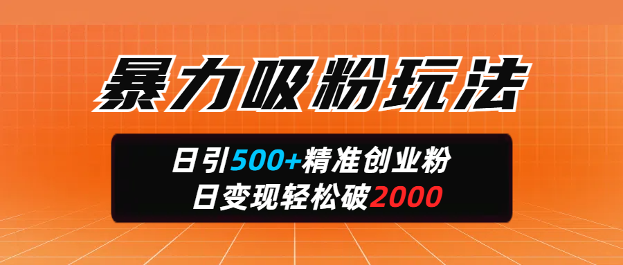 暴力吸粉玩法，日引500+精准创业粉，日变现轻松破2000-小二项目网