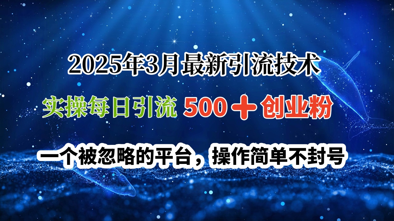 2025年3月最新引流技术，实操每日引流500➕创业粉，一个被忽略的平台，操作简单不封号-小二项目网