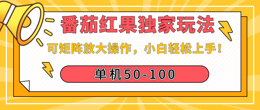 番茄红果独家玩法，单机50-100，可矩阵放大操作，小白轻松上手！-小二项目网