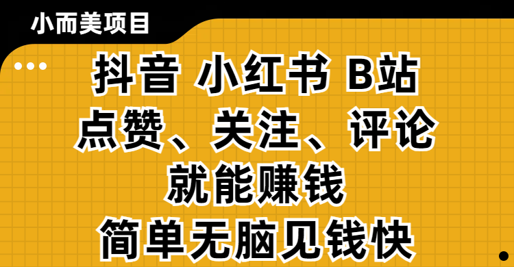 小而美的项目，抖音、小红书、B站视频点赞、关注、评论就能赚钱，简单无脑立见收益！妥妥的零撸项目-小二项目网