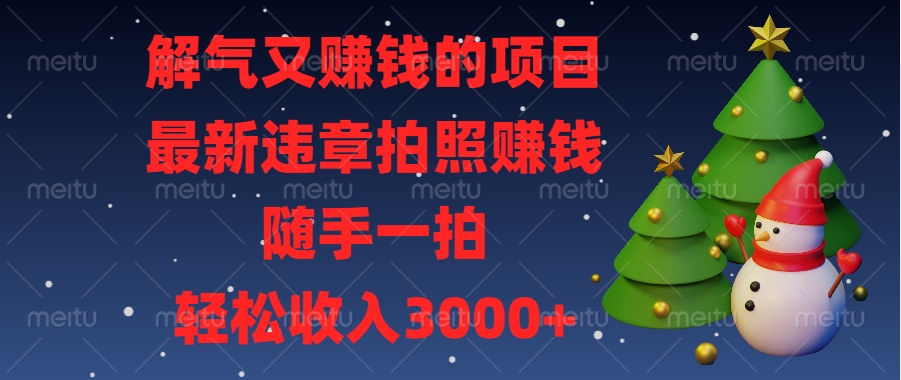 解气又赚钱的项目，最新违章拍照赚钱，随手一拍，轻松收入3000+-小二项目网