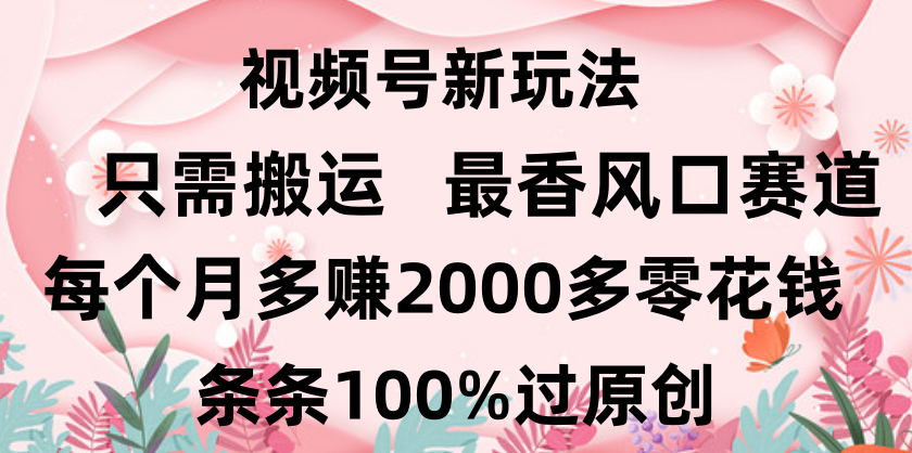 日入2000+，条条100%过原创，视频号最香风口赛道，小白轻松上手-小二项目网