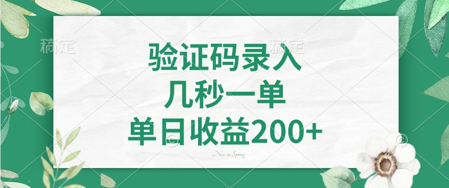 验证码录入,看图识字,几秒一单,单日收益200+-小二项目网