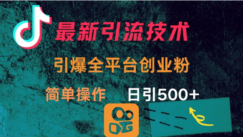 最新引流方法，引爆全平台创业粉操作简单，日引300＋-小二项目网