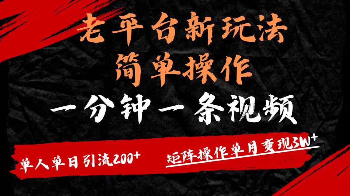 老平台，新玩法，简单操作，一分钟一条视频，单人单人引流200+矩阵操作，单月变现3W-小二项目网