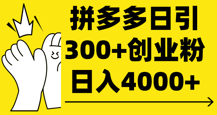拼多多日引300+创业粉 日入4000+-小二项目网