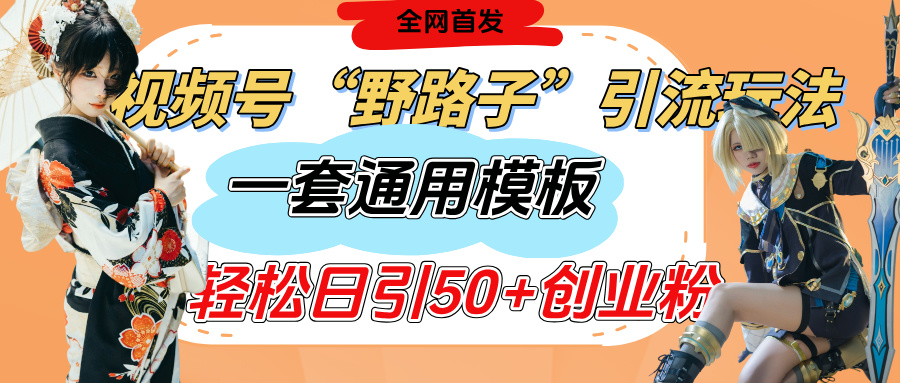 视频号“野路子”玩法，评论区疯狂截流，一套模板单日单号引流50+创业粉-小二项目网