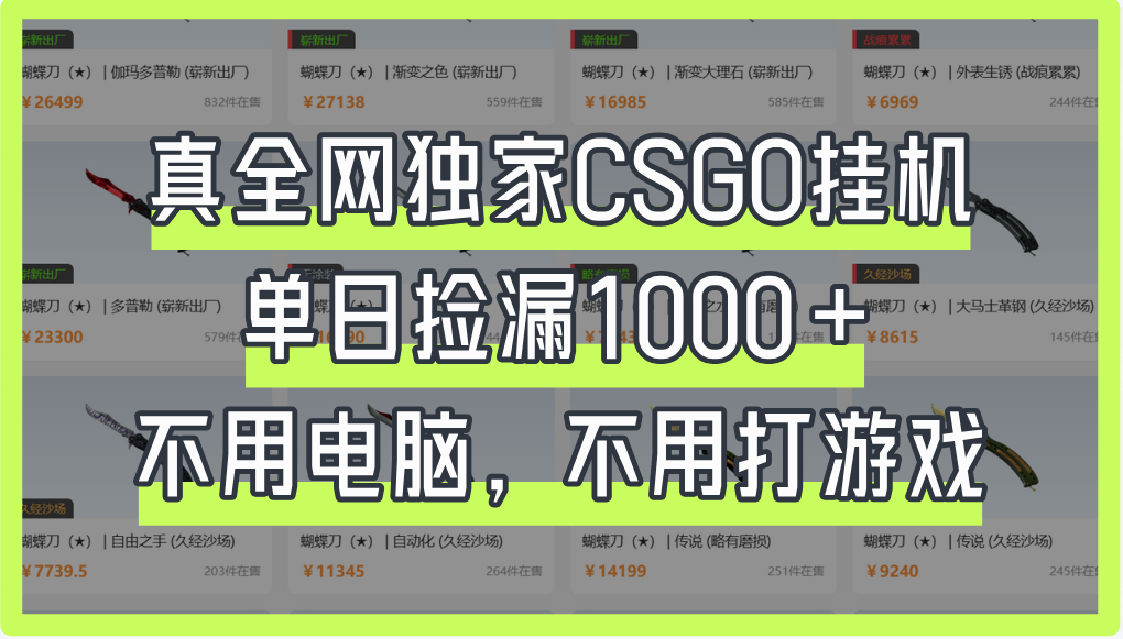 真全网独家CSGO挂机,单日捡漏1000+-小二项目网