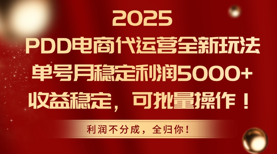 2025 PDD电商代运营全新玩法，单号月稳定利润5000+，收益稳定，可批量操作！-小二项目网