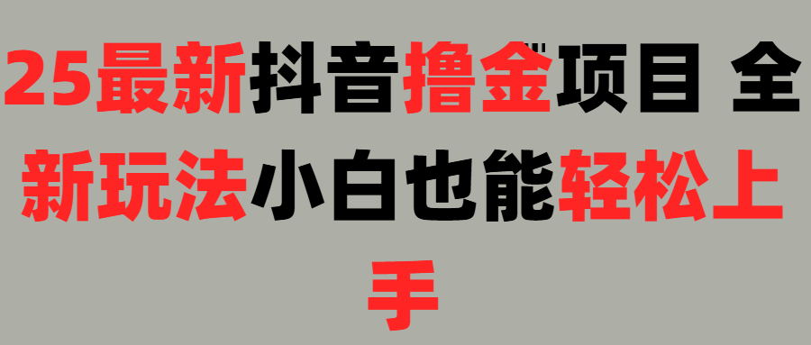 25最新抖音直播撸金项目，小白也能轻松上手！-小二项目网