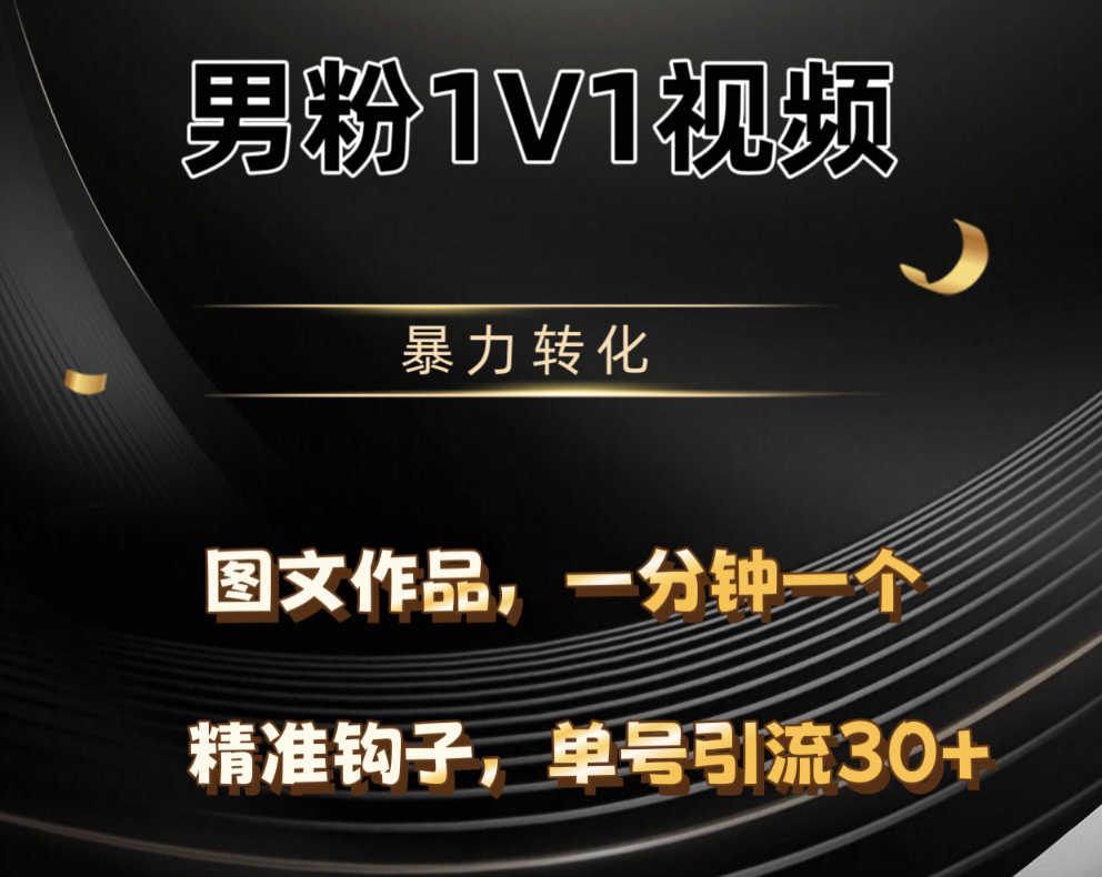 男粉1V1视频，硬改摄像头，高客单暴力转化，单日600+-小二项目网