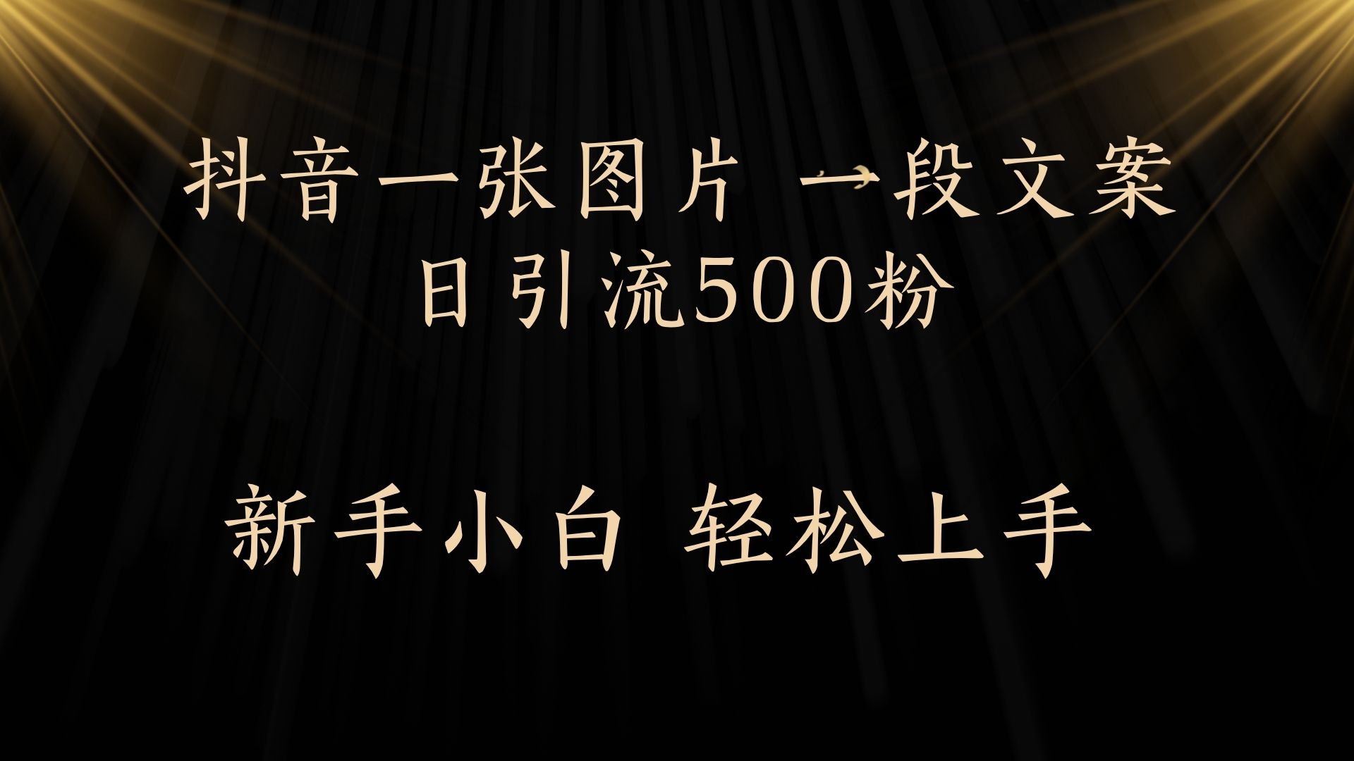 每天2分钟，抖音一张图片 一段文案日引流500粉-小二项目网
