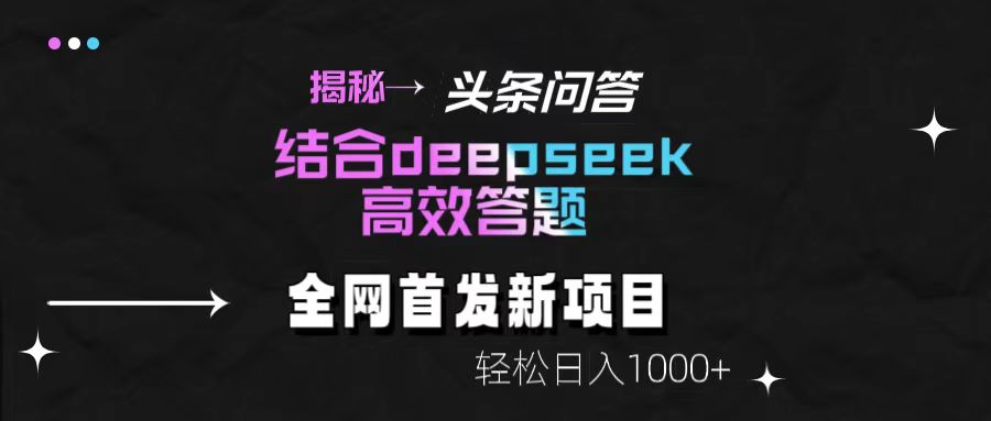 揭秘头条问答新玩法!结合deepseek高效答题,轻松日入1000+-小二项目网