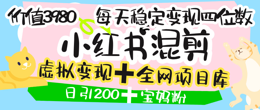 价值3980的小红书混剪, 虚拟变现 +全网项目库 , 日引200+宝妈创业粉,每天稳定四位数变现-小二项目网