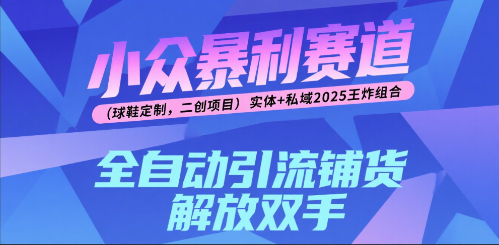 楠—小众暴利赛道（球鞋定制，二创项目）实体+私域2025王炸组合-小二项目网