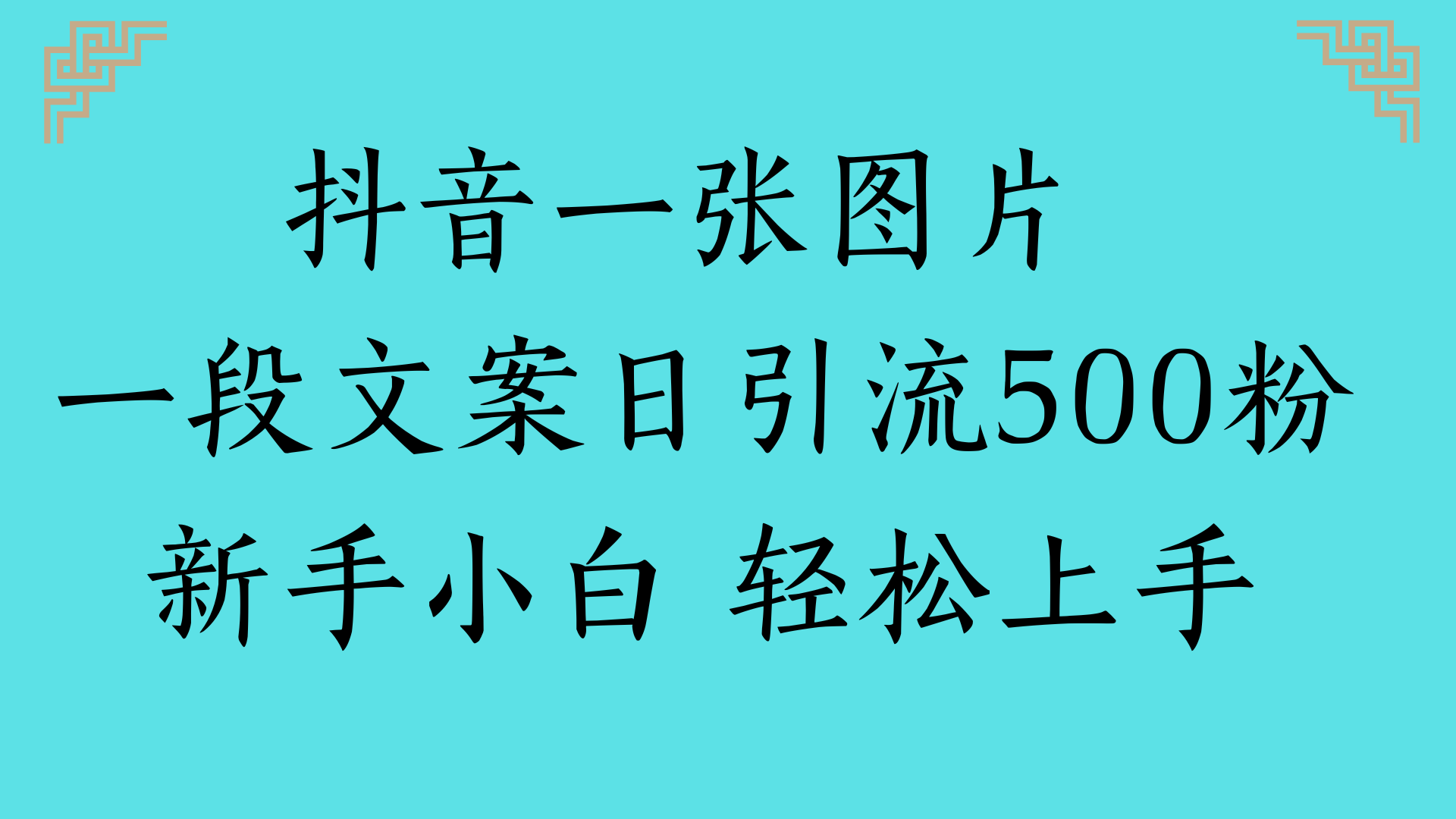 抖音一张图片 一段文案日引流500粉新手小白 轻松上手-小二项目网