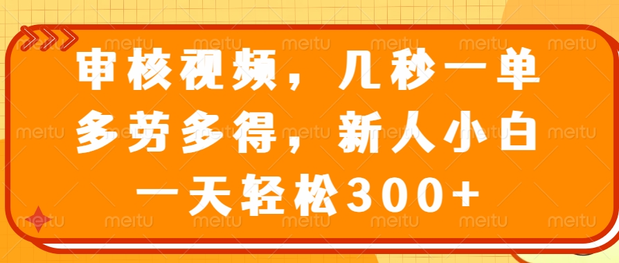 视频审核员，几秒一单，多劳多得，新人小白一天轻松300+-小二项目网