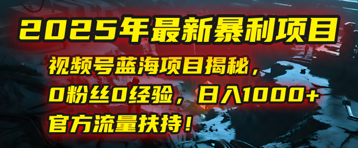 2025年最新暴利项目：视频号蓝海项目揭秘，0粉丝0经验，日入1000+，官方流量扶持！ - 小二项目网-小二项目网