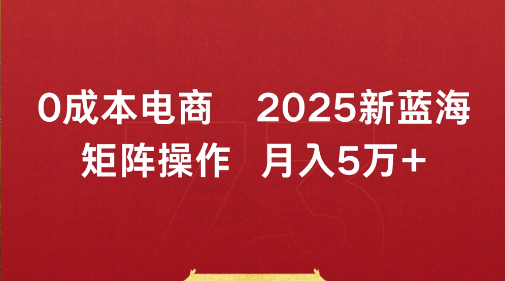 0成本电商2025新蓝海矩阵操作 月入5万+-小二项目网