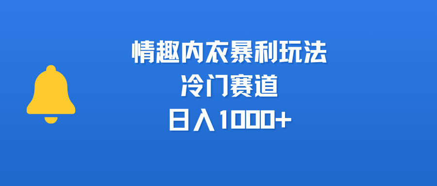 情趣内衣暴利玩法,冷门赛道,日入1000+-小二项目网