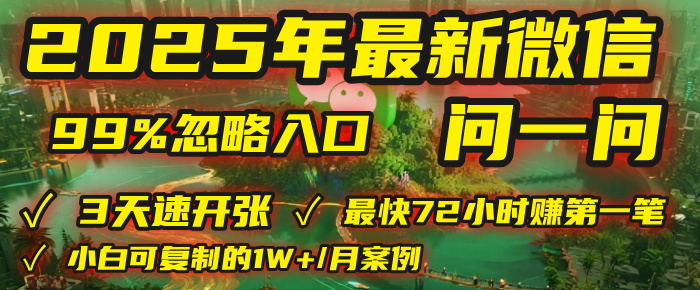 2025年，被99%的人忽视的微信问一问：每天写300字，最快3天就能“开张”赚到第一笔钱，有人已稳定月入1W+！-小二项目网