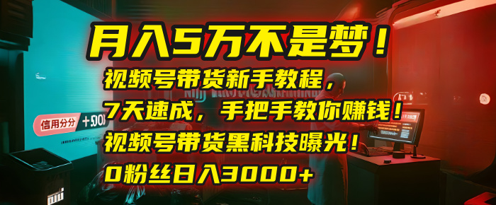 月入5万不是梦!视频号带货新手教程,7天速成,手把手教你赚钱!视频号带货黑科技曝光!0粉丝日入3000+-小二项目网