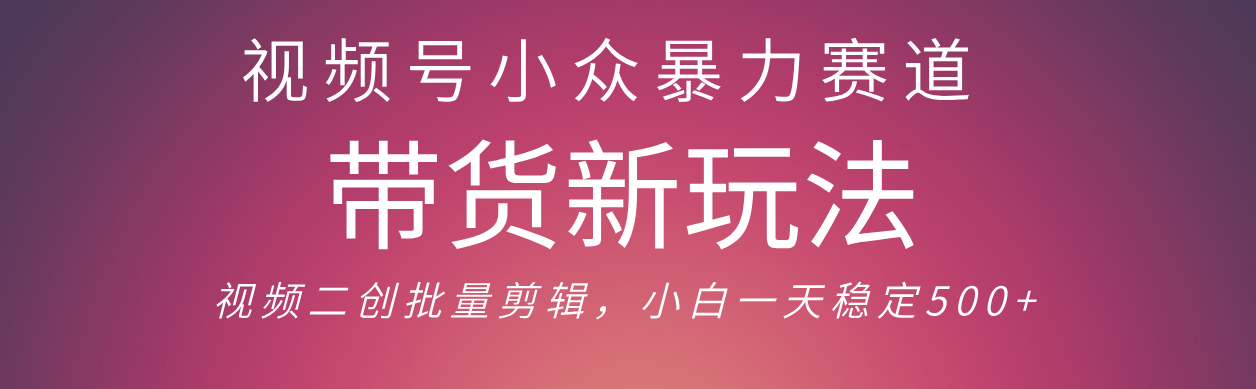 视频号小众暴力赛道，最新带货玩法 小白也能轻松日入500+ 保姆及教程-小二项目网
