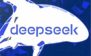 小白入门Al必备的50个高阶DeepSeek 提示词， 从职场到生活一键开挂!-小二项目网