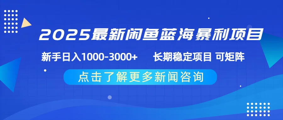2025最新闲鱼蓝海暴利项目 ，新手日入1000-3000+ 长期稳定项目 可矩阵-小二项目网