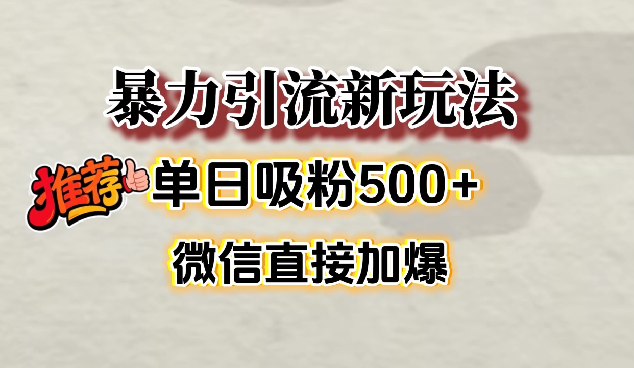 微信加爆的引流超级方法，单日吸粉500➕-小二项目网