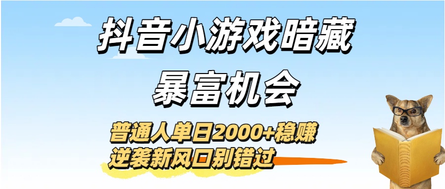 抖音小游戏暗藏暴富机会！普通人单日2000+稳赚，逆袭新风口别错过-小二项目网