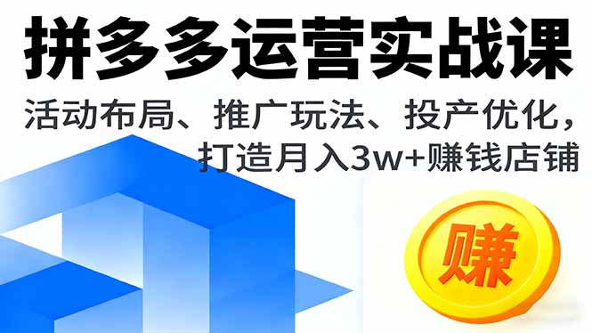 （16135期）拼多多运营实战课，活动布局、推广玩法、投产优化，打造月入3w+赚钱店铺-小二项目网