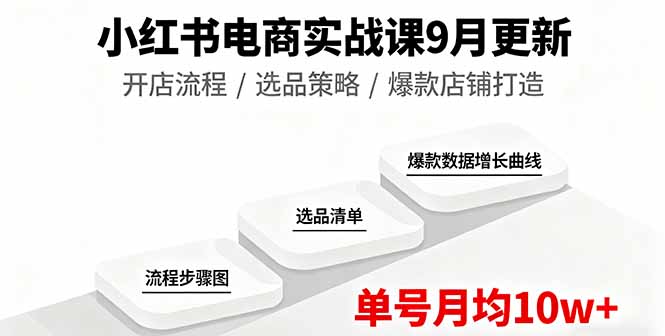 （16120期）小红书电商实战课9月更新，开店流程/选品策略/爆款店铺打造，单号月均10w+-小二项目网