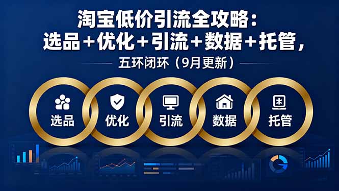 （16009期）淘宝低价引流全攻略：选品＋优化＋引流＋数据＋托管，五环闭环（9月更新）-小二项目网