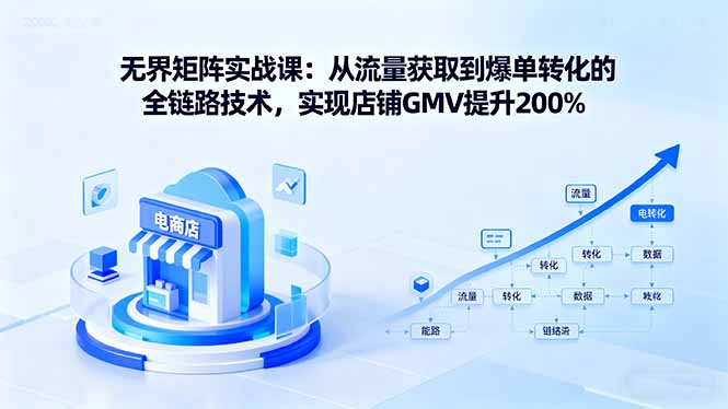 （16104期）无界矩阵实战课：从流量获取到爆单转化的全链路技术，实现店铺GMV提升200%-小二项目网