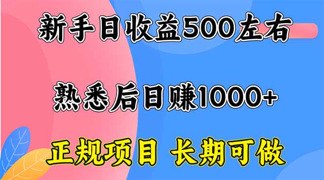 （16132期）新手日收益500+ 正规项目 长期可做-小二项目网