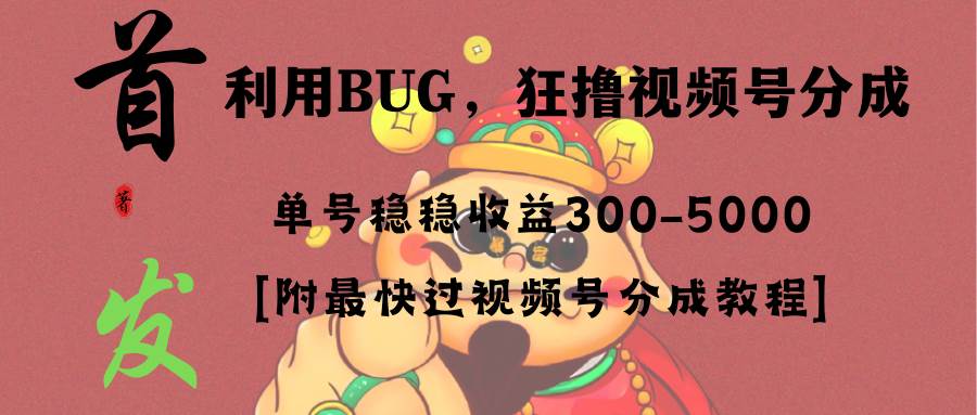 全网独家首发，视频号BUG，超短期项目，单号每日净收益300-5000！-小二项目网