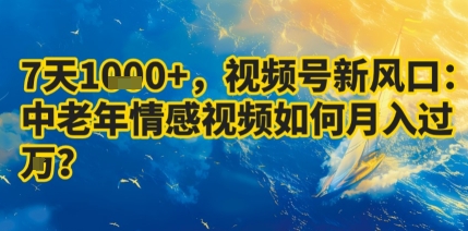 7天收益1k+，视频号新风口：中老年情感视频如何月入过W?-小二项目网
