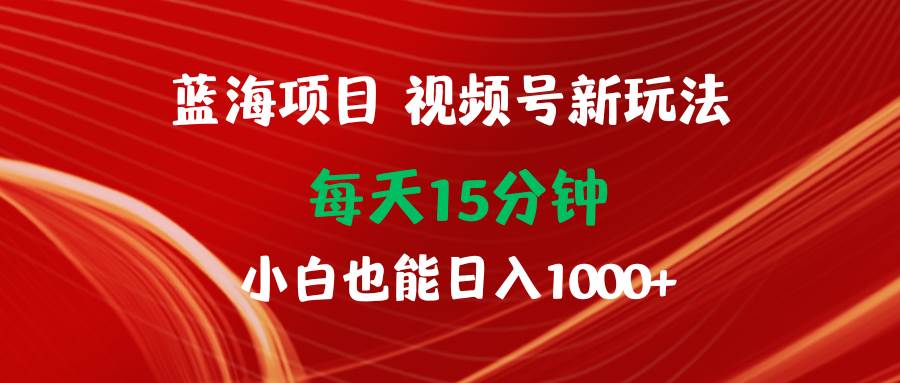 蓝海项目视频号新玩法 每天15分钟 小白也能日入1000+-小二项目网