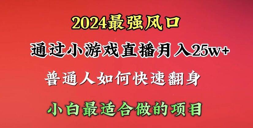 2024年最强风口，通过小游戏直播月入25w+单日收益5000+小白最适合做的项目-小二项目网