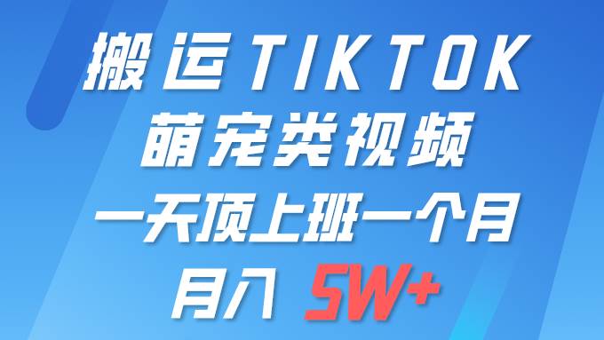 一键搬运TIKTOK萌宠类视频 一部手机即可操作 所有平台均可发布 轻松月入5W+-小二项目网