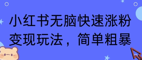 小红书无脑快速涨粉变现玩法，简单粗暴-小二项目网