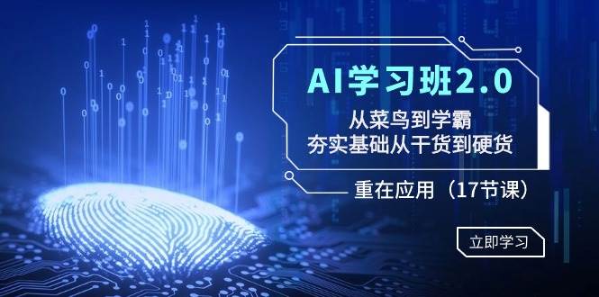 AI学习班2.0：从菜鸟到学霸，夯实基础从干货到硬货，重在应用（17节课）-小二项目网