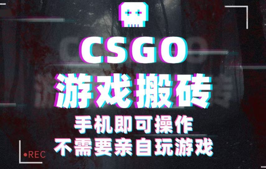 CSGO游戏挂机捡漏，单日扫货500+，年底小高峰上车可吃肉，手机即可操作兼职副业-小二项目网